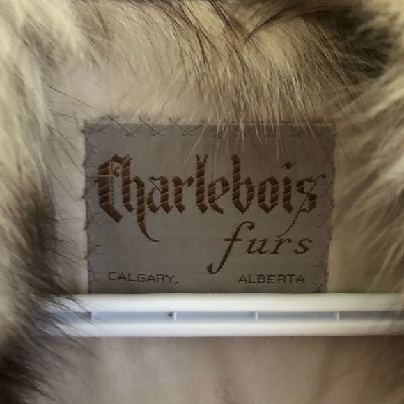 Vintage Blue Fur Fox Coat - Picture 2 of 6